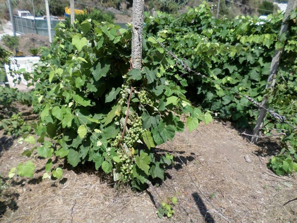 Appartamento Rosa ليباري المظهر الخارجي الصورة